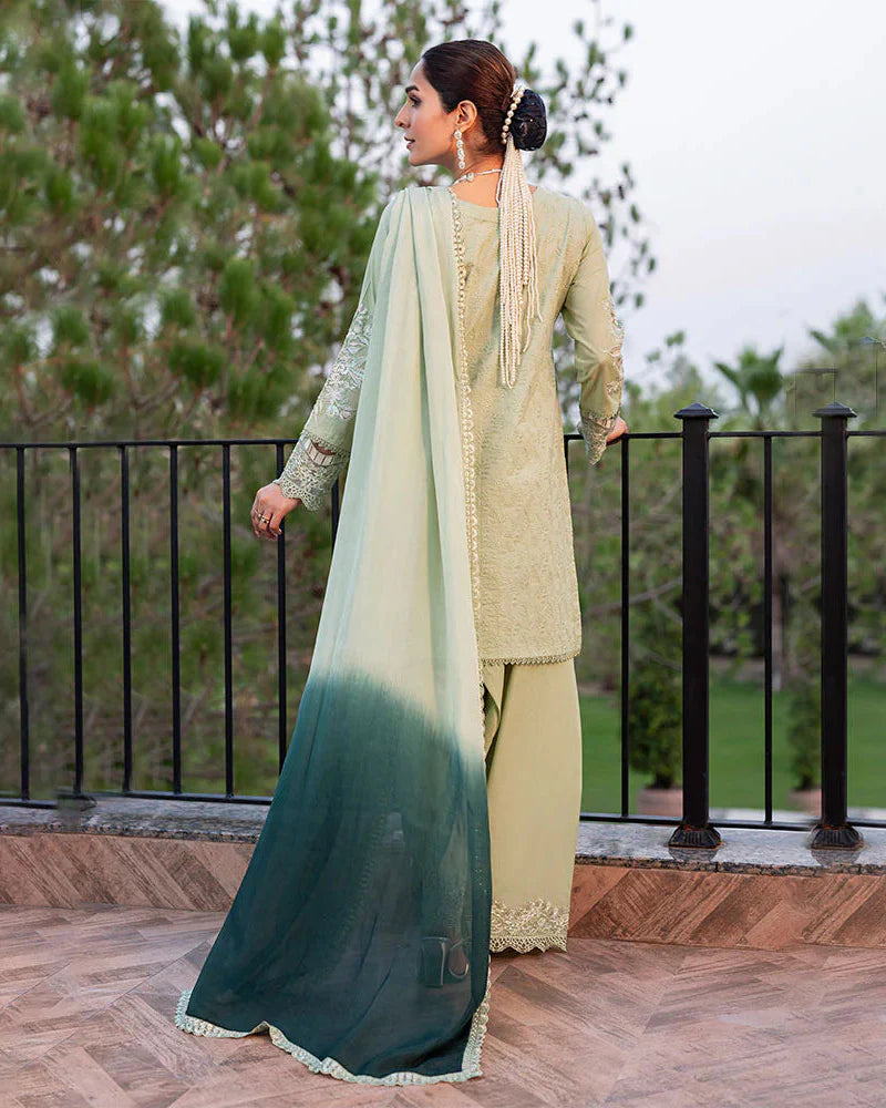 Nayab ZR 2537 Pista