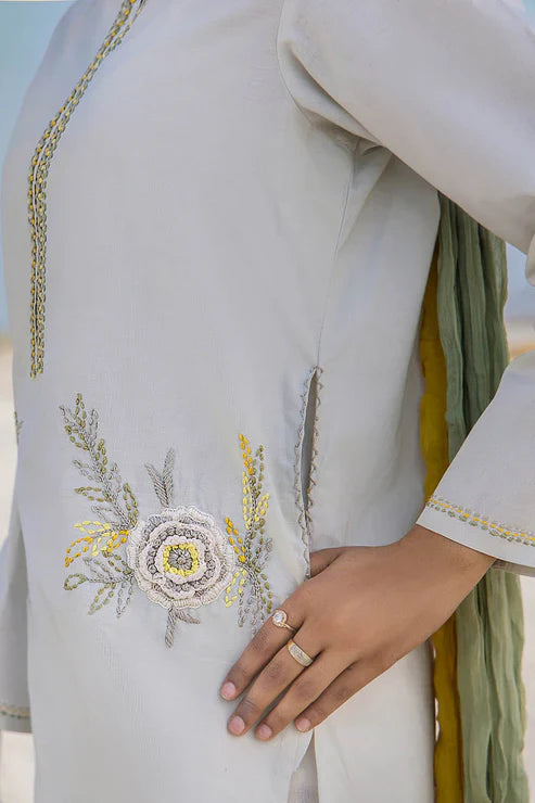 F183 Sand Grey khuda bakhsh