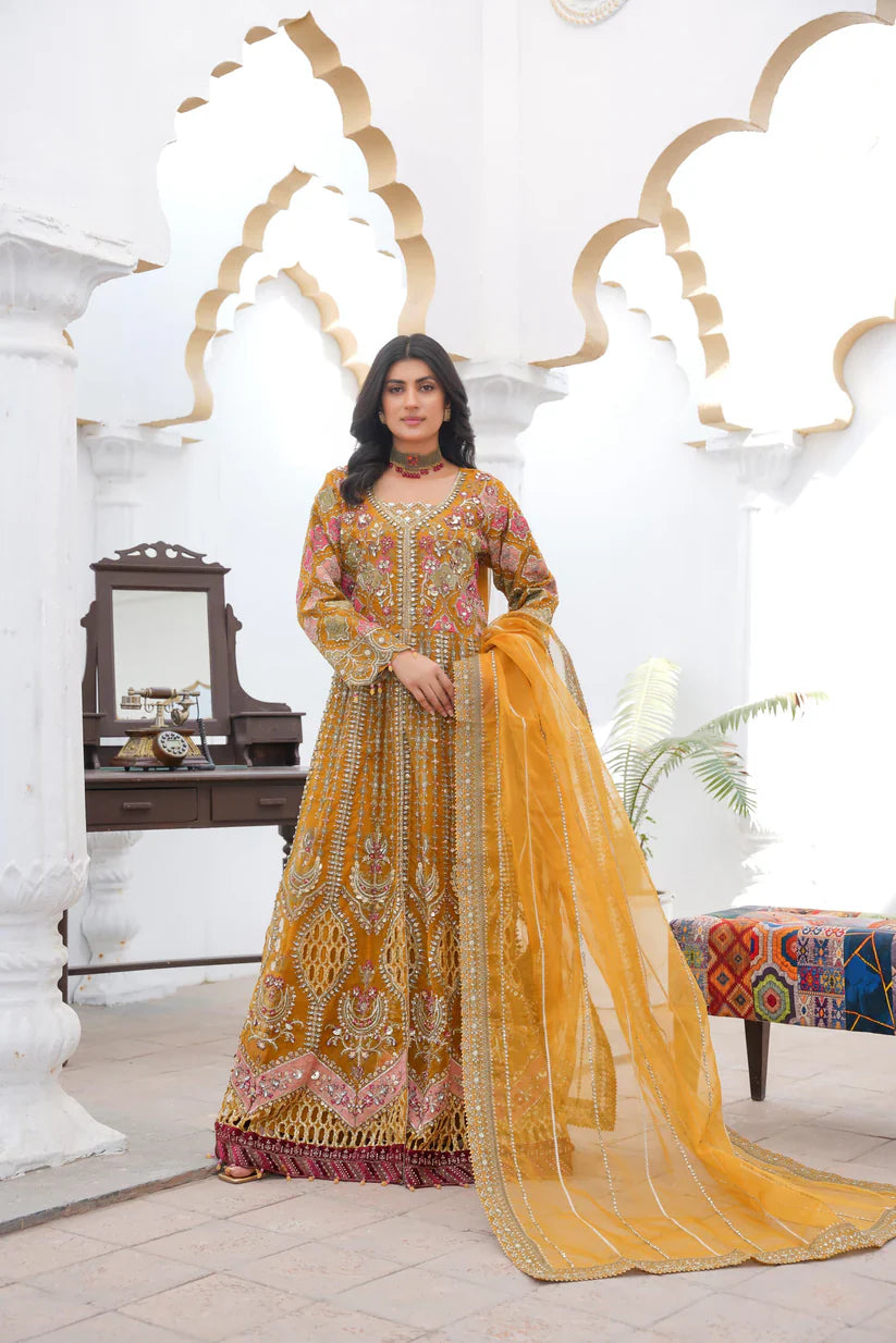 Sajni Collection