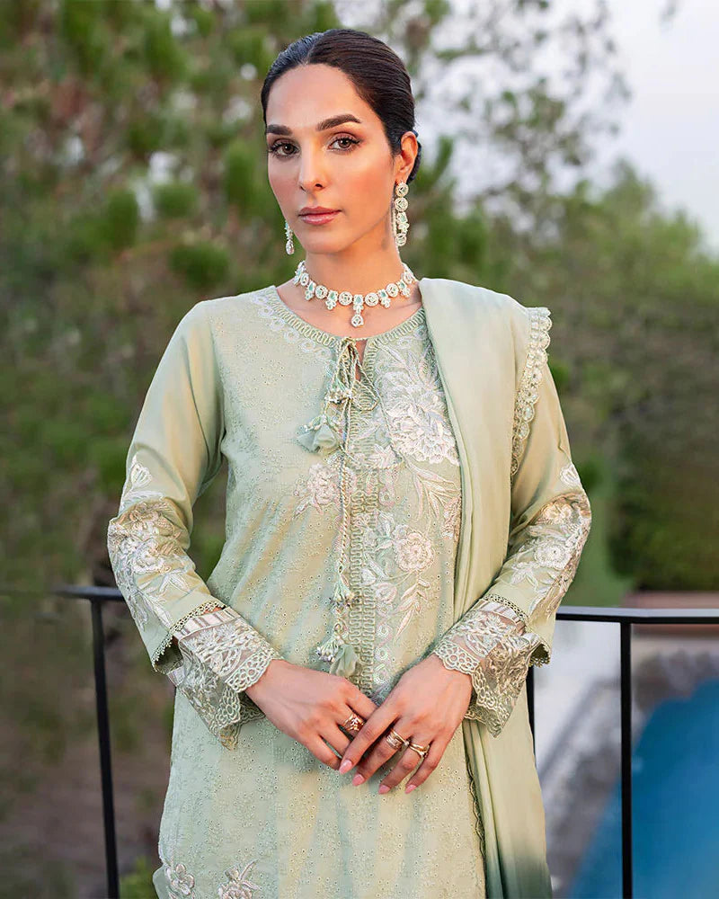 Nayab ZR 2537 Pista