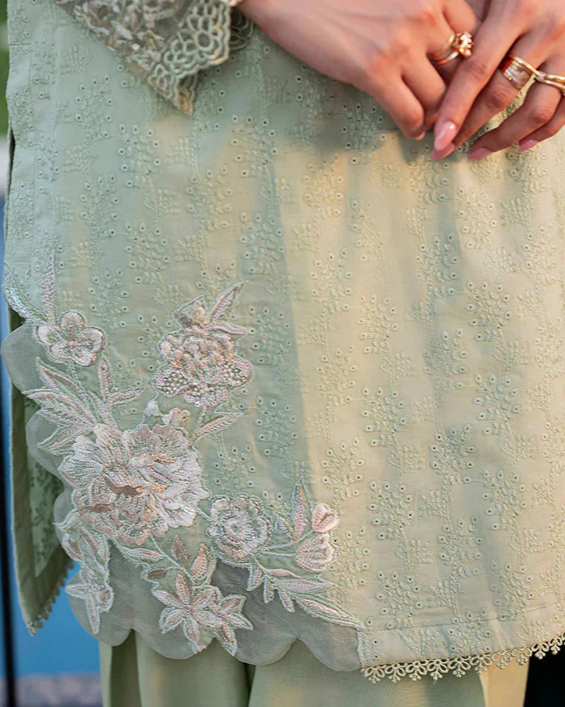 Nayab ZR 2537 Pista