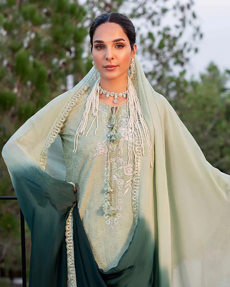Nayab ZR 2537 Pista