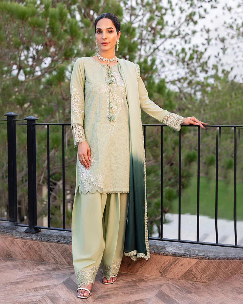 Nayab ZR 2537 Pista